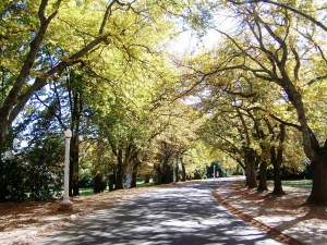 Have faith ...keep following the path.